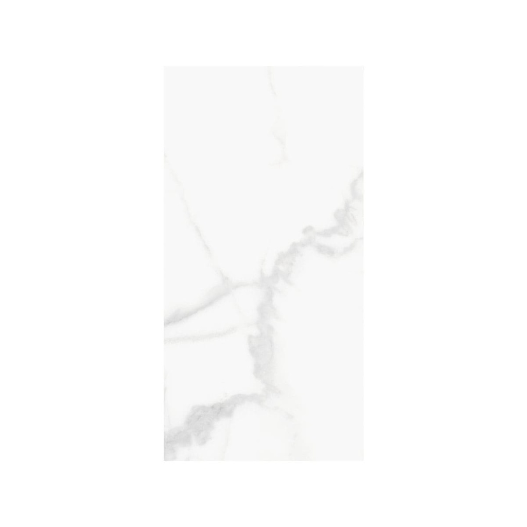 PORCELANATO OLIMPIA GRIS 28.3X56.6 SEG. CORONA (1.60)