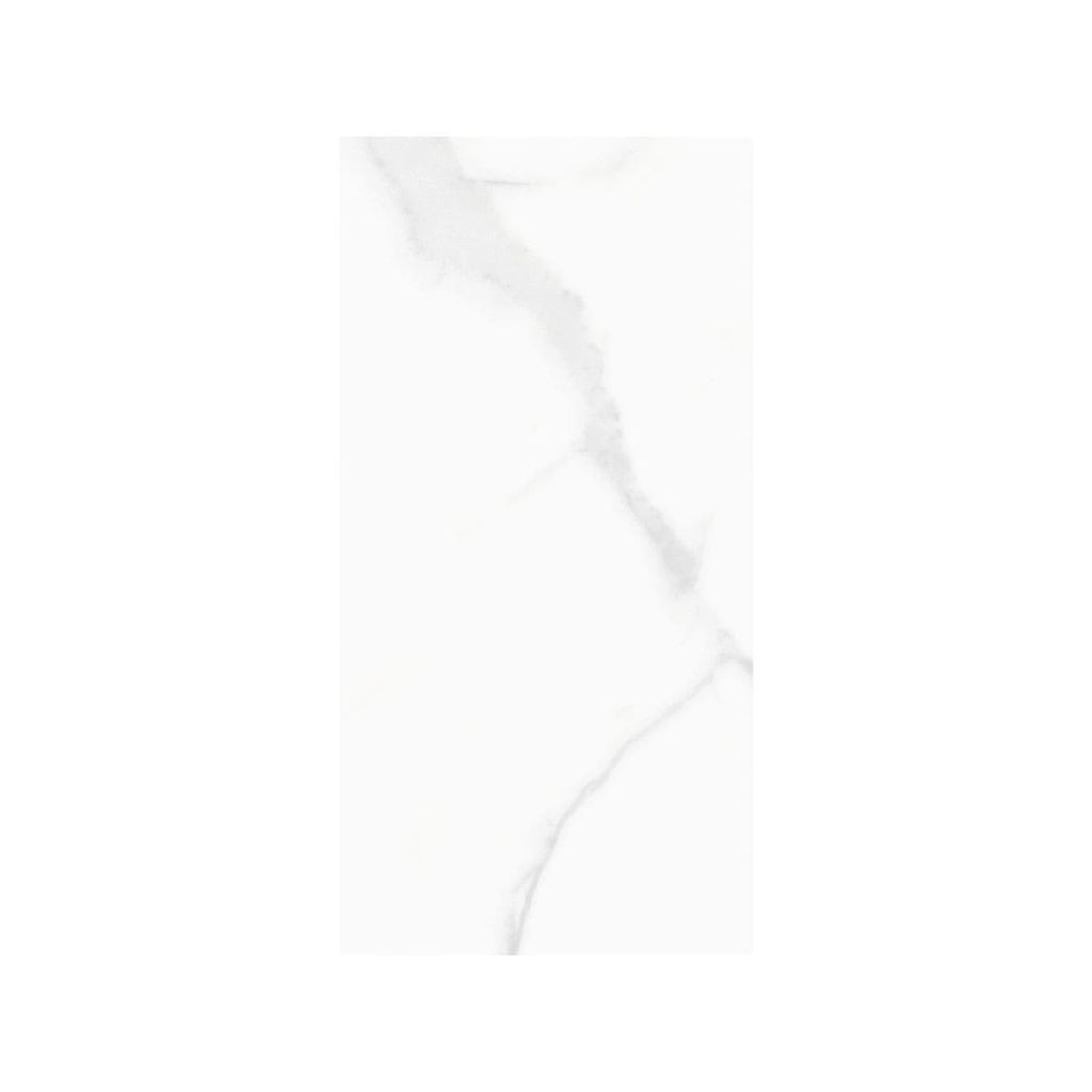 PORCELANATO OLIMPIA GRIS 28.3X56.6 SEG. CORONA (1.60)