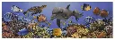 liston-ubatuba-multicolor.webp