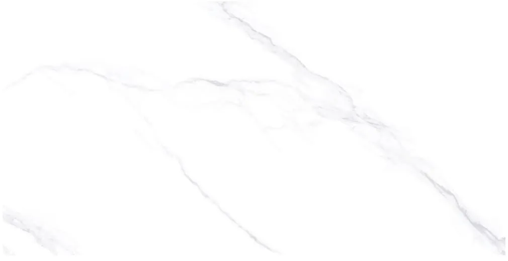 porcelatech-rec-alea-hielo.webp