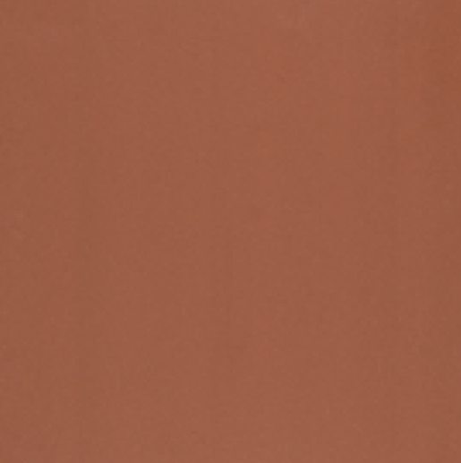 [RGN010] TABLON TRADICION ROJO 30.5X30.5 PRIM. ALFA (1.0)