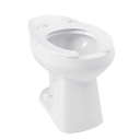 TAZA ADRIATICO ENTRADA POSTERIOR CORONA