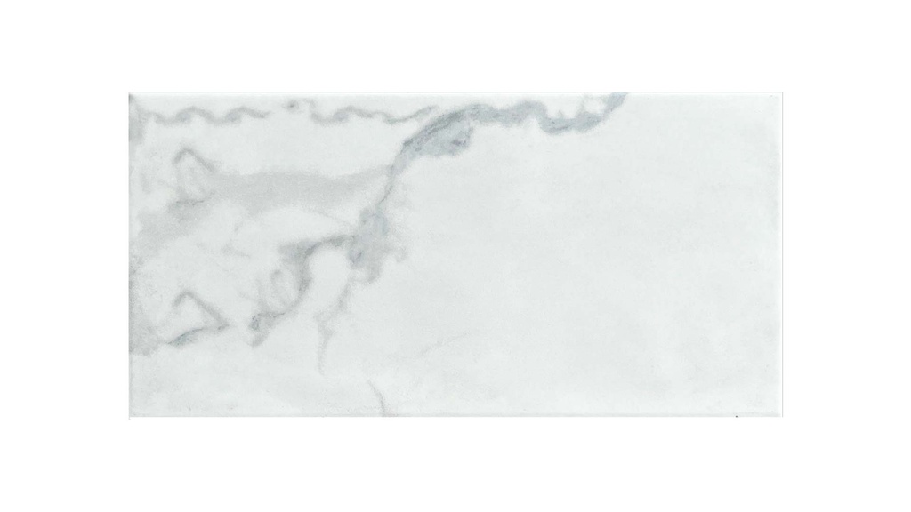 PORCELANATO OLIMPIA GRIS PLANO 28.3X56.6 SEG. CORONA (1.60)
