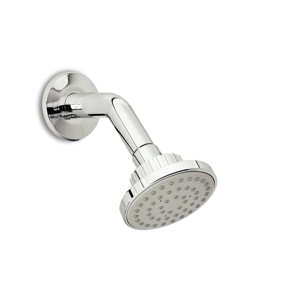 [LIQUIDAR] - REGADERA DALIA CON BRAZO CORONA