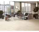 PORCELATECH® REC. BORJA MARFIL 61X121.5 PRIM. CORONA (1.48)