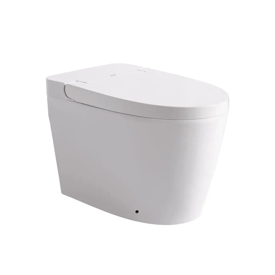 SANITARIO PRESTIGIO MAX ALONG CORONA