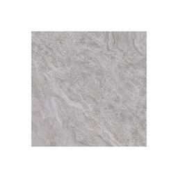 [RCZ040] MANTIS GRIS 51X51 PRIM. CORONA (1.82)