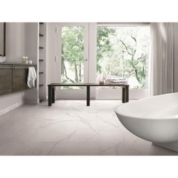 [RPM053] ​PORCELANATO OLIMPIA GRIS 28.3X56.6 PRIM. CORONA (1.60)