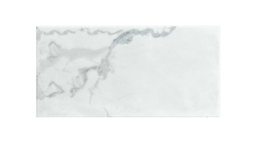 [RPM070] ​PORCELANATO OLIMPIA GRIS PLANO 28.3X56.6 SEG. CORONA (1.60)