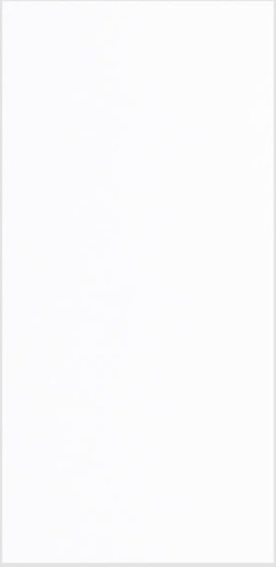 [RPB098] PORCELANATO FROZEN-B BLANCO 60X120 PRIM. DECOR (1.44)