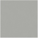 PORCELANATO NUEVO BOSS BEIGE 60X60 SEG. CORONA (1.8)