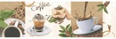 LISTON SALVATIERRA MULT. 13.5X43 CORONA