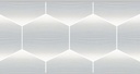 PARED BRISAS HEXAGONAL 30X60 PRIM. CG (1.62)