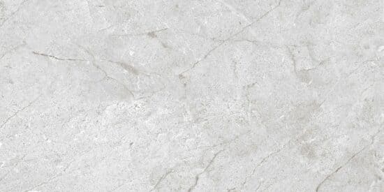 PARSO GRIS 30X60 SEG. ALFA (1.28)