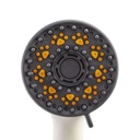 TELEDUCHA MANILA PETS CORONA