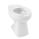 TAZA ADRIATICA ENTRADA POSTERIOR GRIF ANTIVANDALICA CORONA