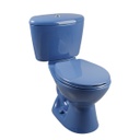 SANITARIO MANANTIAL AZUL CORONA