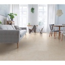 HONDA BEIGE 51X51 PRIM. CORONA (1.82)