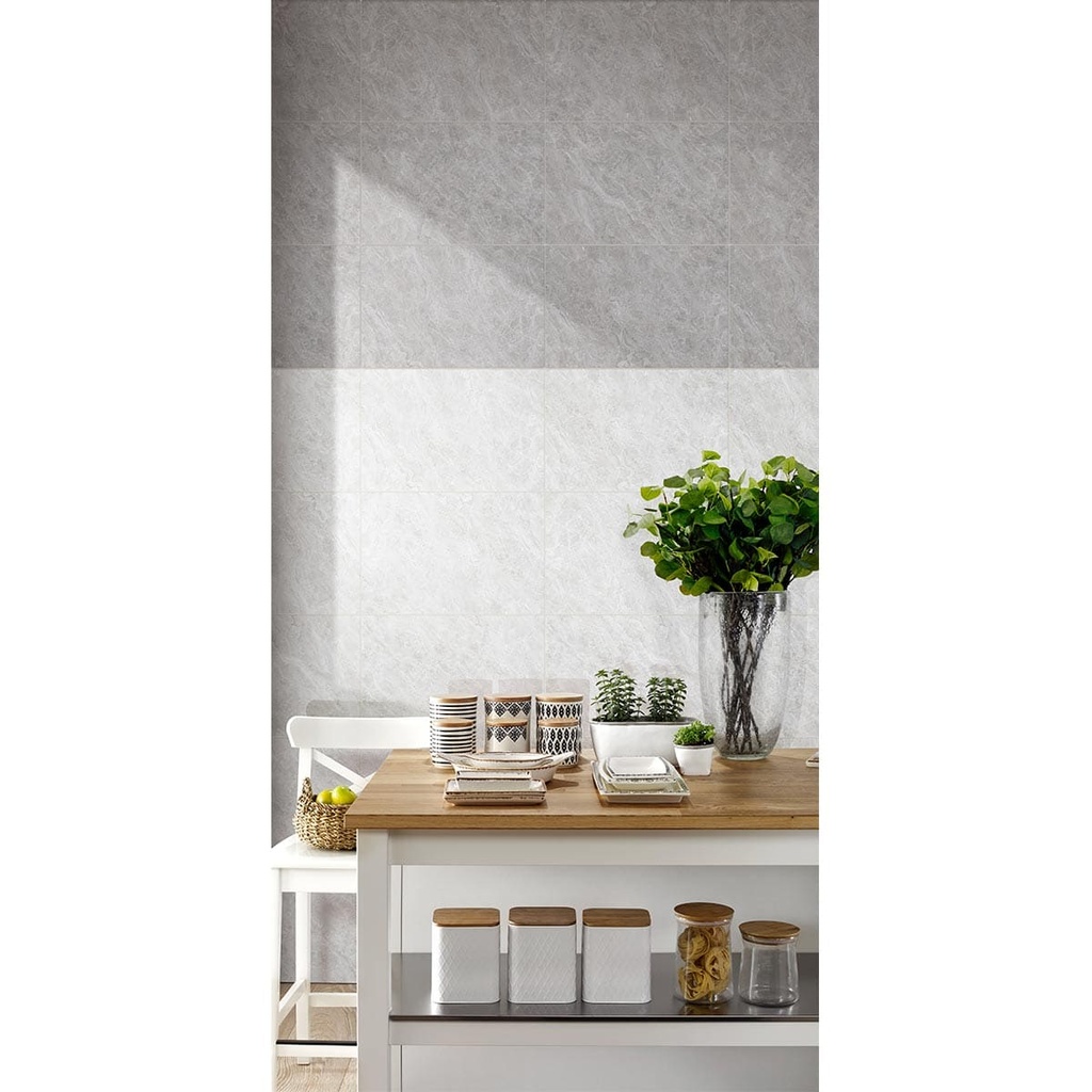[RCZ198] PARED MANTIS GRIS OSCURO 30X45 PRIM. CORONA (1.89)