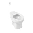 TAZA BALTICA ENTRADA POSTERIOR GRIF ANTIVANDALICA CORONA