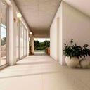 NEW LISBOA HABANO 61x61 PRIM. ALFA (1.86)