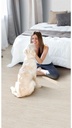 PORCELANATO CALARES BEIGE 31.2X61.3 PRIM. CORONA (1.72)
