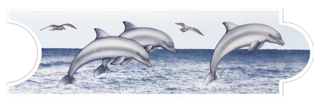 LISTELLO AGUACLARA AZUL 8X25 CORONA