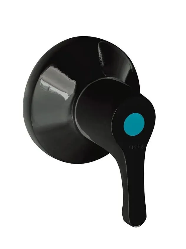 [GDG023] REGISTRO DUCHA PASO BOLA PALANCA MATEBLACK CORONA