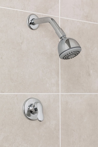 [GDGC03] CONJUNTO REGISTRO DUCHA MONZA ANTIC