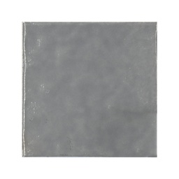 [RCP065] OASIS GRIS BR 20X20 PRIM. ALFA (2.00)