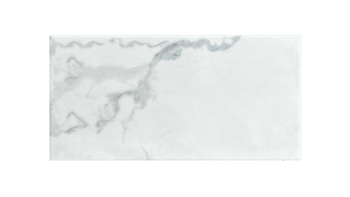 [RPM070] ​PORCELANATO OLIMPIA GRIS PLANO 28.3X56.6 SEG. CORONA (1.60)