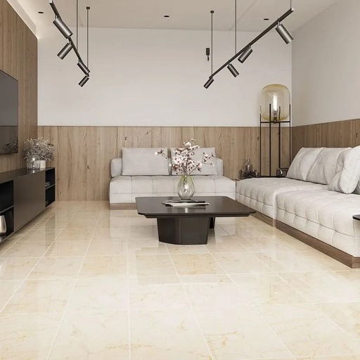 [RCZ289] ROYAL BEIGE BR. 30X60 SEG. ALFA (1.28)